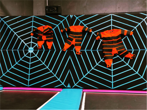 Sticky Wall in Trampoline Park